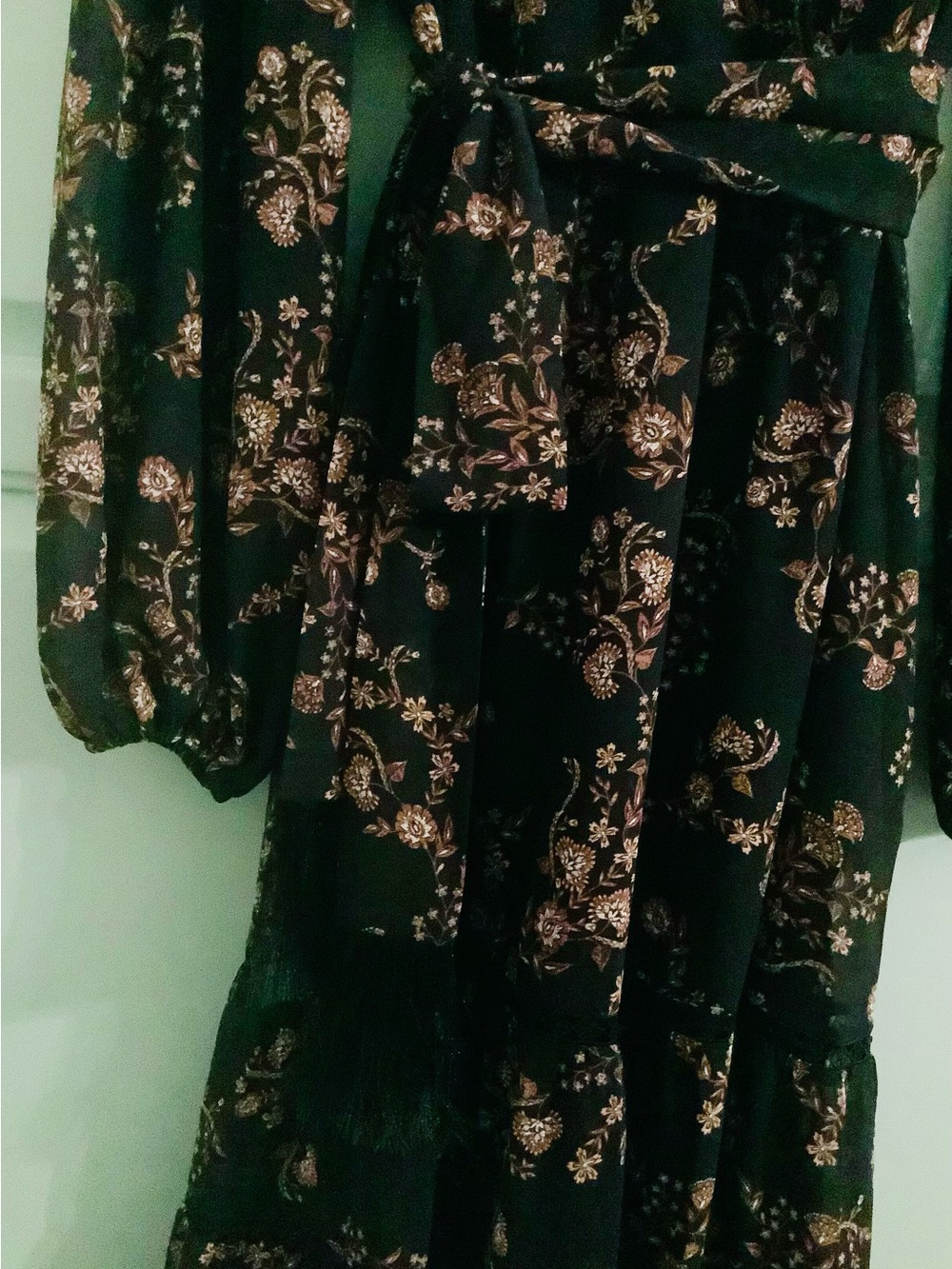Ever New Dress, Floral Print, Fringe Sash Belt - Picture 4 of 13
